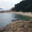 로뎀나무펜션민박 네이버블로그