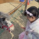 이천소방서 | 이천 체험문화축제 2026 예스파크 총정리 아이랑 가볼만한곳 추천 (주차 꿀팁 포함)