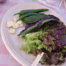 백운농장(1) 이미지