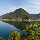 자연알로(보령) 이미지