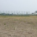 대산문화체육공원(야구장) 이미지