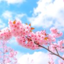 베스트(BEST) 전자담배 네이버블로그