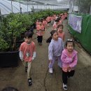 블루베리 농장에 다녀왔어요. 🫐 이미지