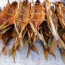 바이칼허브 이미지