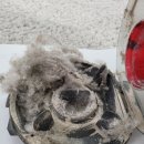 수자인세탁 이미지