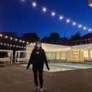 오버더마운틴 이미지