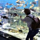 단양-단양-05 이미지