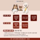 삼덕종합동물병원 이미지