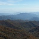 도장골2 이미지