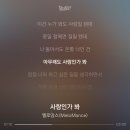 성언의집 | 행복했던 더채플앳논현 라포레홀 본식 후기💍