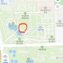 서울숲5 | [서울숲 피크닉 후기] 5월 튤립 개화정보 및 꽃사슴 방사장 방문 후기