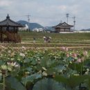 공설운동장(서편) 이미지