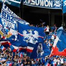 블루하이텔 이미지