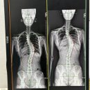 NAC KOREA | 이태원헬스장 - 이태원짐에서 pt 받아야 하는 이유