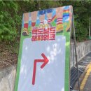 2026 맥도날드 해피워크 후기ㅣ걷기만 해도 기부도 되고 기념품도 받고