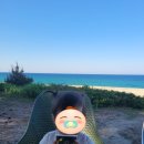 바다정원 속초카페거리 본점 이미지