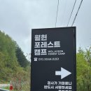 강원도 횡성 캠핑장 월현포레스트 이지캠핑 깔끔한 오토캠핑장 추천
