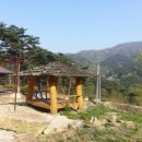 신기팜스테이빌리지 이미지