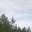 Blanket Creek Provincial Park 이미지