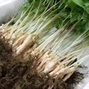 주식회사 건강한친구 이미지