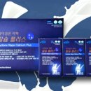에스에이치코퍼레이션