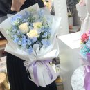 푸른나라꽃나라 이미지