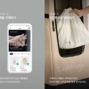 고즈컴퍼니