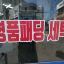 개미세탁 이미지