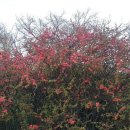 금호강변 이미지