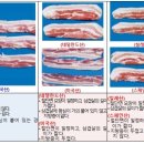 국립농산물 품질관리원 이미지