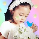 신탄진용정초등학교 이미지