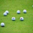 일신골프연습장 이미지