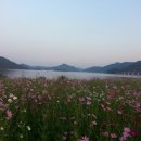 남해텃밭