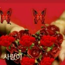 하늘로항공 이미지