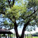 검암리 입구 이미지