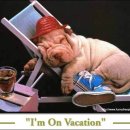 동물들의세상 이미지