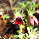 보운농장 이미지