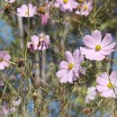 기로회 경로당 이미지