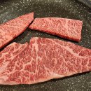 참착한고기 이미지