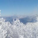 2019년 1월 2일(수) 소백산국립공원 새해 첫 소백산 비로봉 눈꽃 산행 안내 이미지