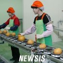 안성시 농산물산지유통센터 이미지