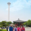 평화소아과의원 Daum카페