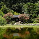 풍산태사로(풍산읍) 이미지