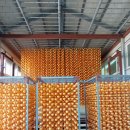 시우농장 이미지