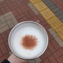 컴포즈커피(대구진천점)