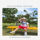 파주 약산체리원 체리 체험 후기, 친구들과 함께한 행복한 하루