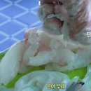 갈릴리횟집 | 3만 5천원의 기적! 한국기행 무한리필 고흥 갈릴리횟집 자연산 회 진짜를 경험하다