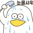 솔샘초등학교 이미지