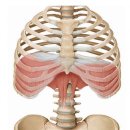 오륙도신경외과의원 이미지