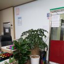 빽당구장 이미지